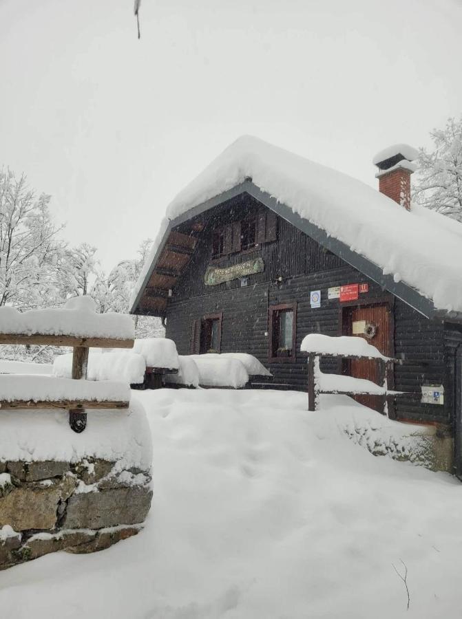 Appartement Koca Na Pikovem à Crna na Koroskem Extérieur photo